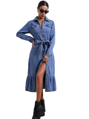 Collared Neck Button Down Denim Dress