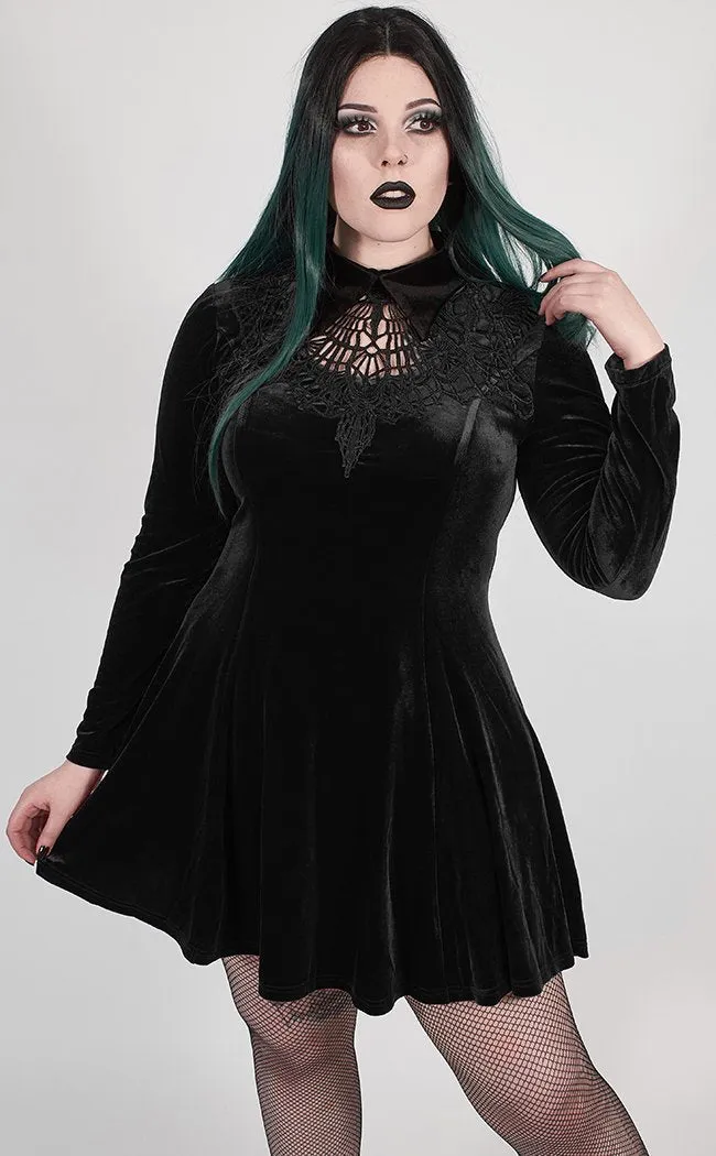 Ensnared Velvet Dress | Black | Plus Size